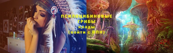 ешки Алзамай